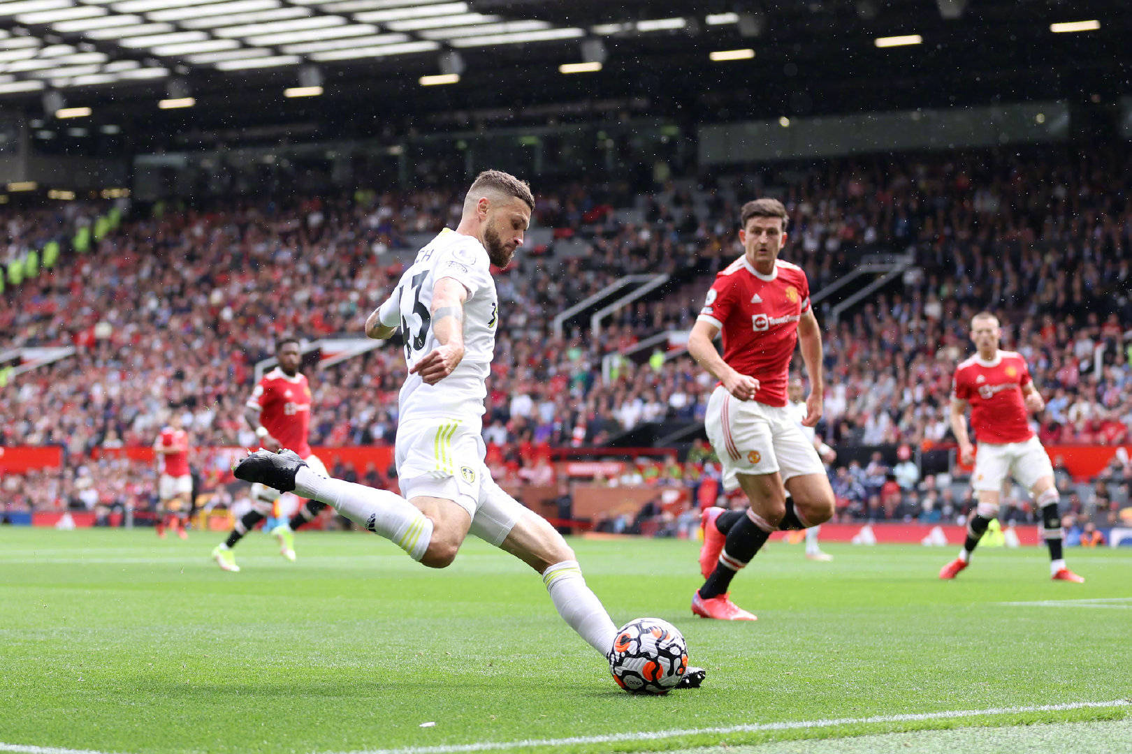 毛细血管 毛细血管