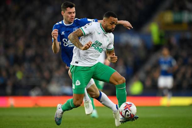 这意味着他 这意味着他