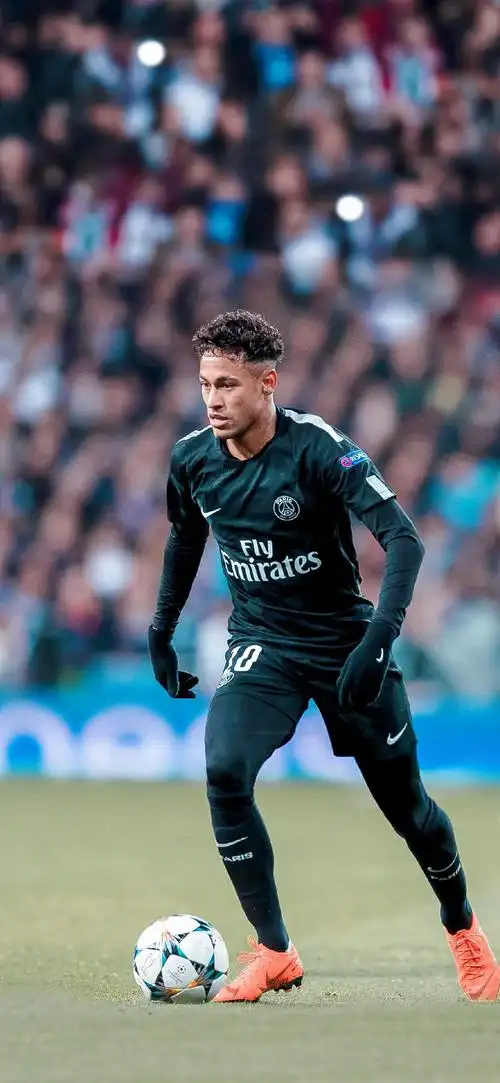 应努力为新 应努力为新